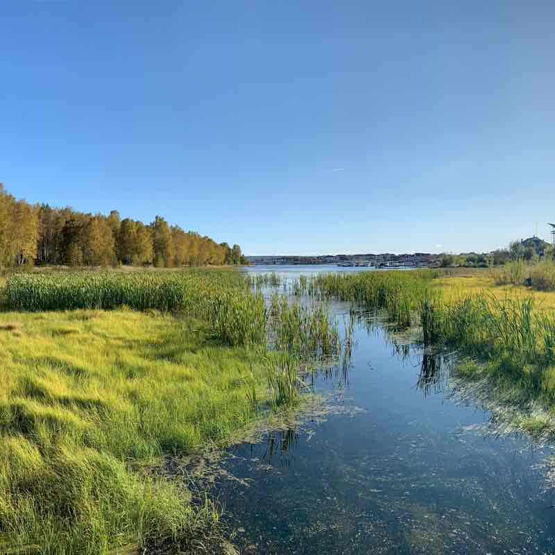 Birch forest IGAU (ISKHI) walking route map in Khuzhir