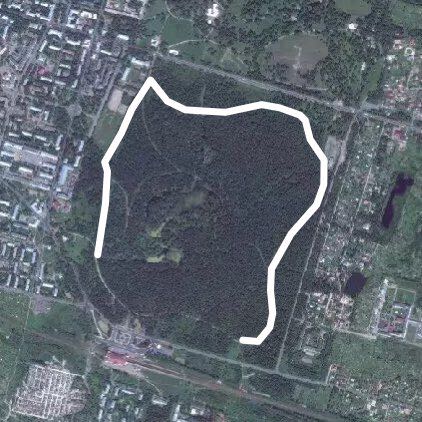 напротив вокзала "Новый Петергоф"