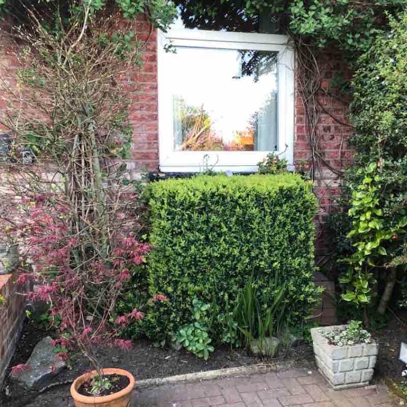 Carrington Road Walk