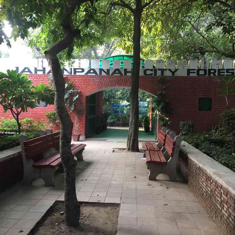 Jahanpanah forest 🌳 Walk Trail Dakshinpuri, New Delhi, India Pacer