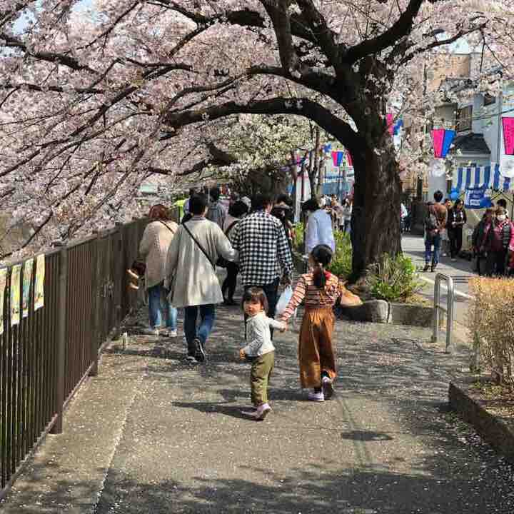 Along the Misawa River walking route map in Inagi