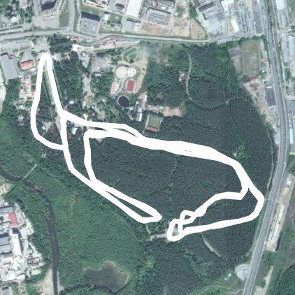 Ночной забег