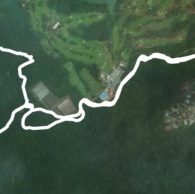 MacRitchie treetop trail