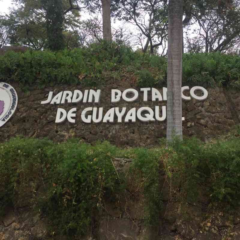 Av Francisco Orellana