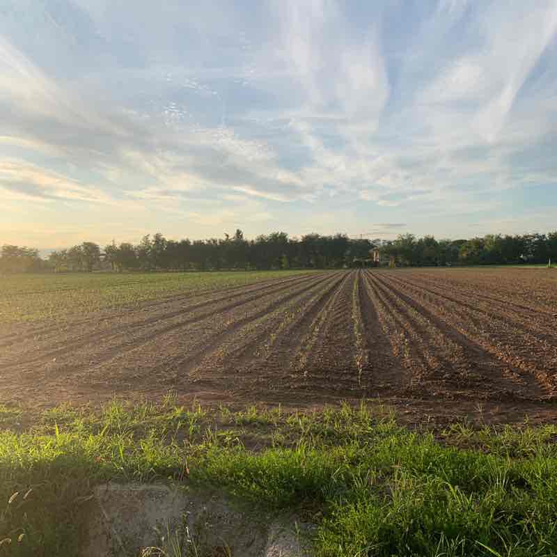 Ponzano - Treviso walking route map in Fontane