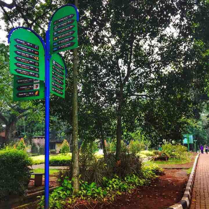 Let nature and animals make you happy sweating