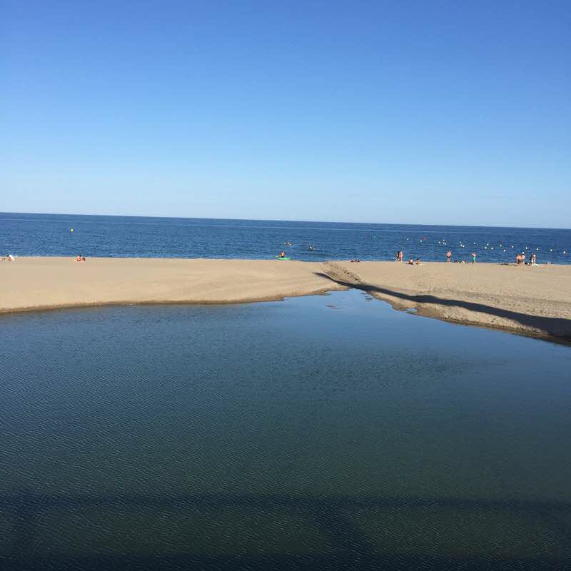 P Castillo - Centro F