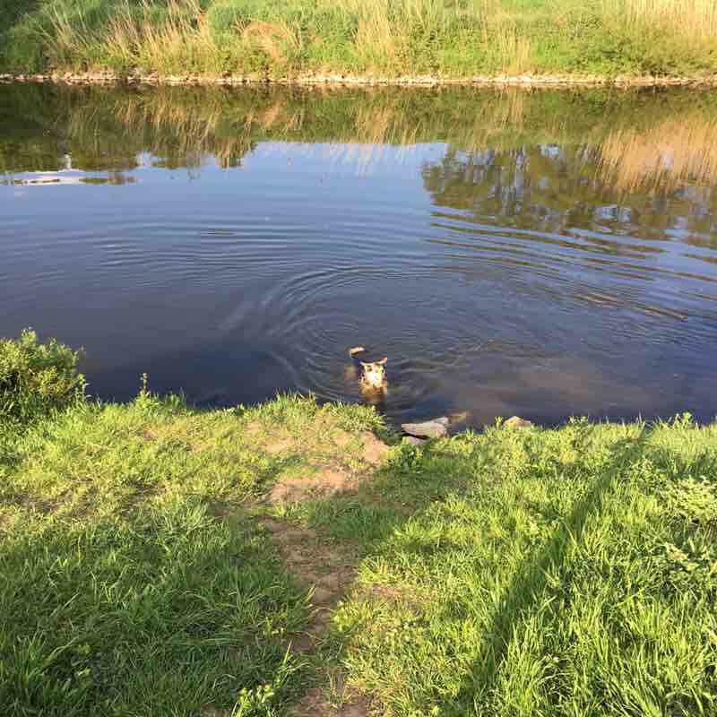 Limburg walking route map in Elz
