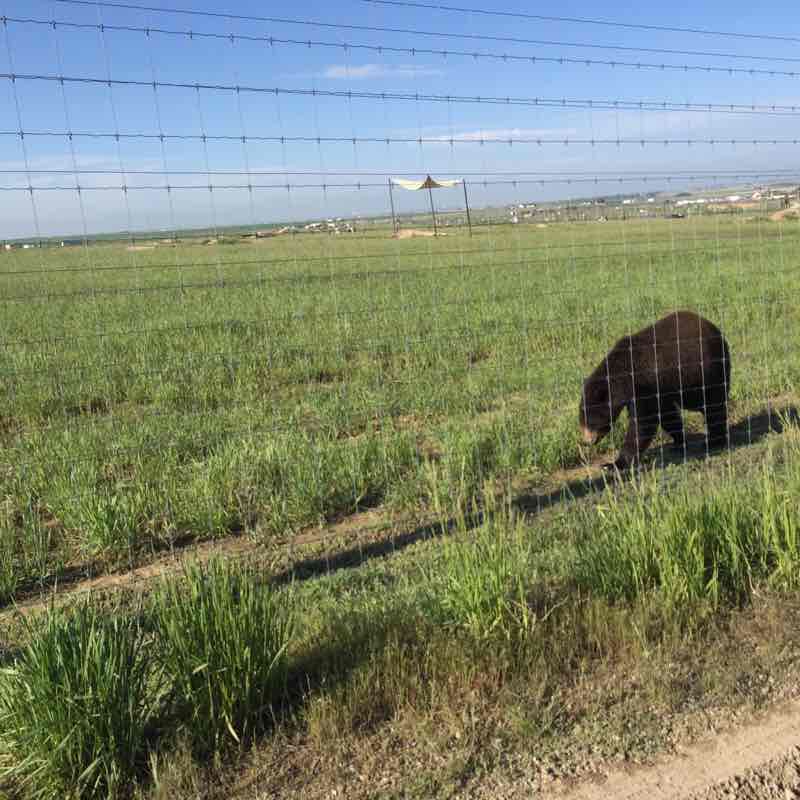 Wild Animal Sanctuary walking route map in Keenesburg