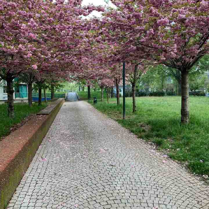 Turin along the Po river going up to Cavoretto. walking route map in Moncalieri