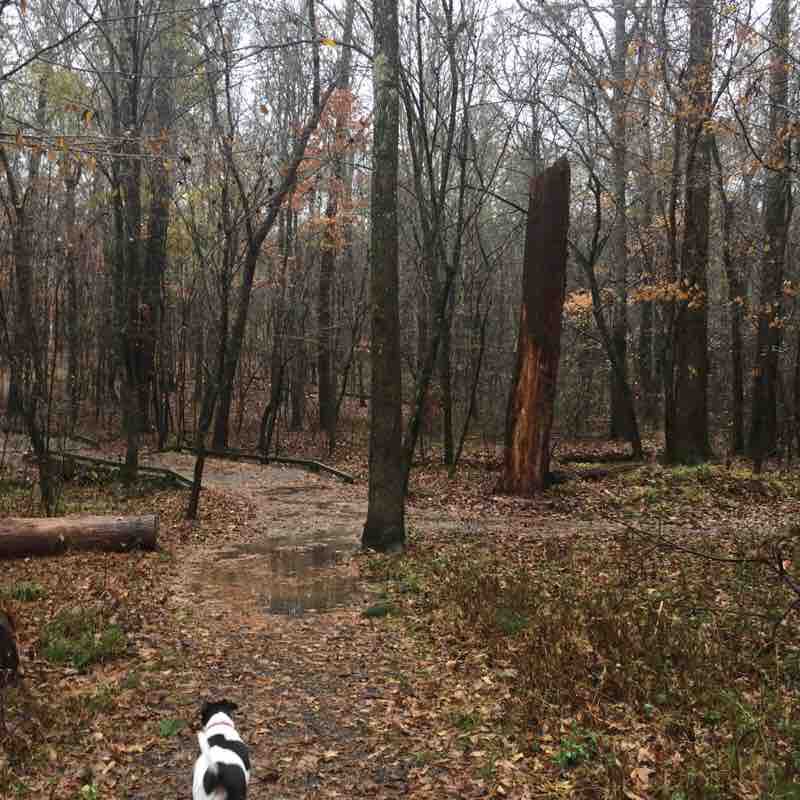 Lewis Park trail walking route map in Canton