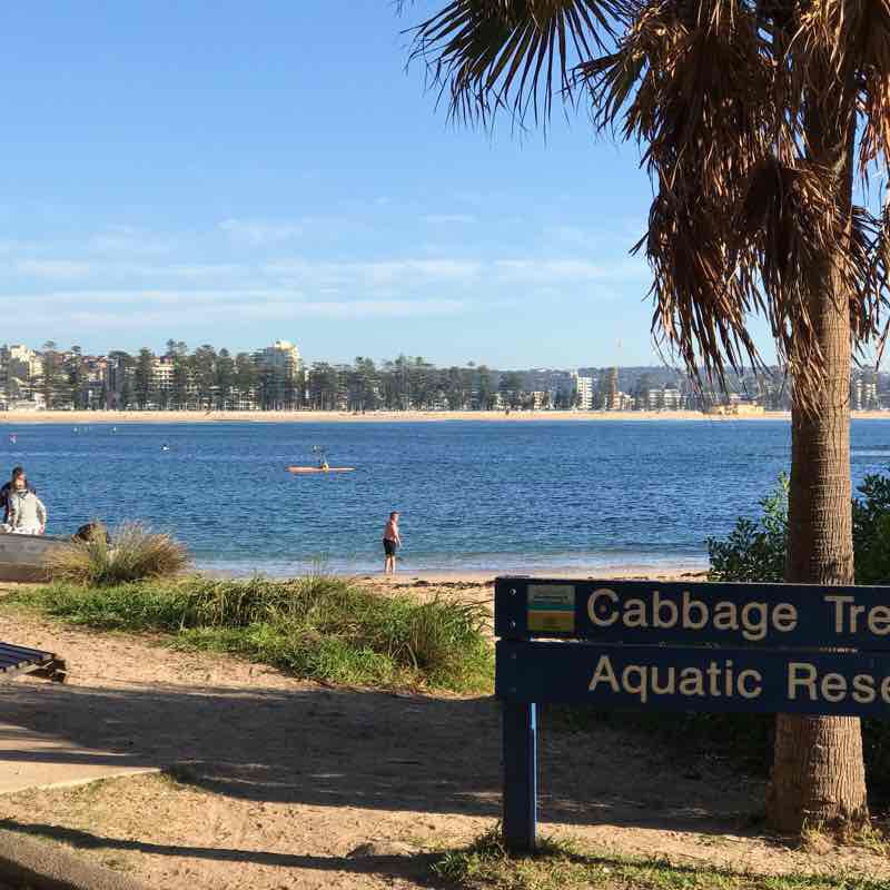 Queenscliff to Shelly Beach walking route map in Queenscliff