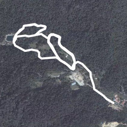 botanical garden penang