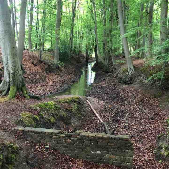 Bentlager Wald walking route map in Rheine