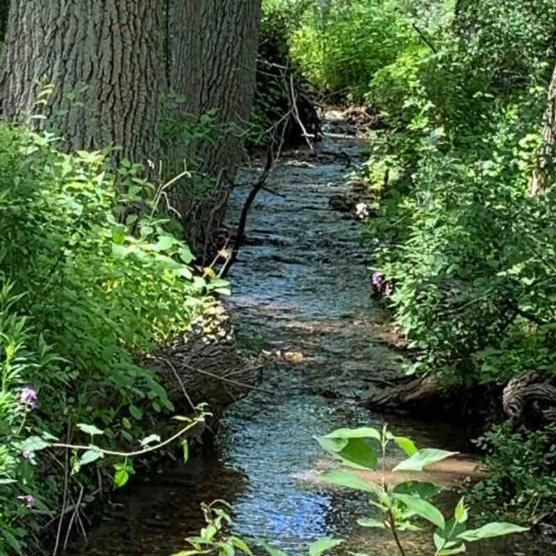 Williams Bay Nature Conservancy walking route map in Lake Geneva