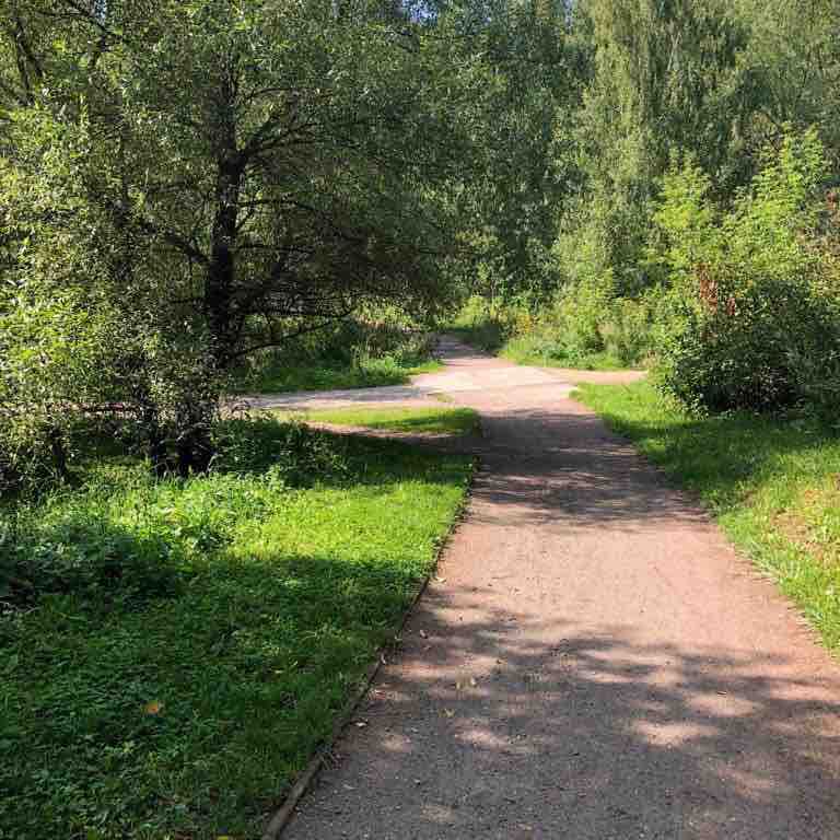 Воскресная прогулка