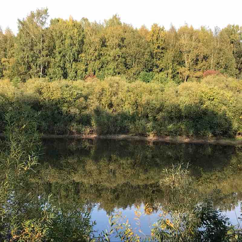 Peace Park walking route map in Vologda