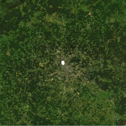 Тимирязевский лес