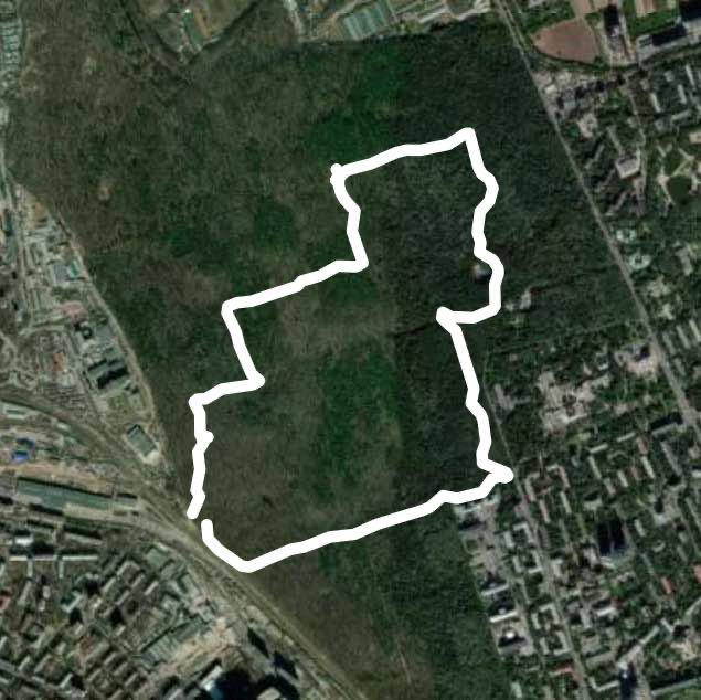 Тимирязевский лес