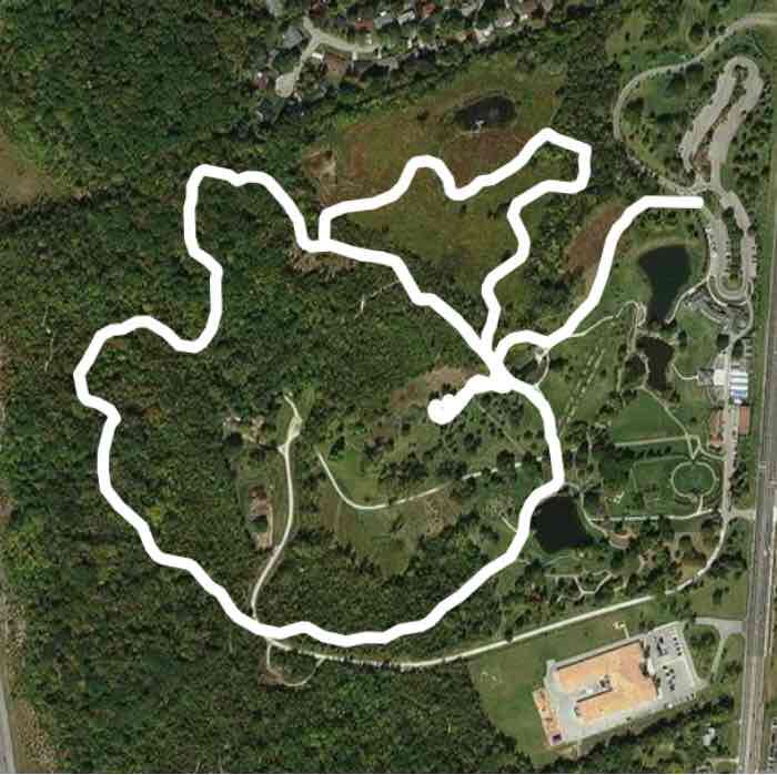 Cox red and blue walking route map in Woodbourne-Hyde Park