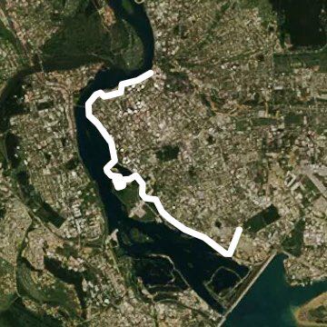 лисиха фортуна