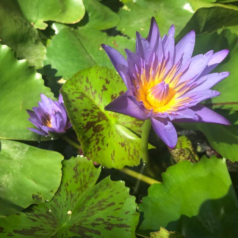 Muinak walking route map in Thành phố Phan Thiết