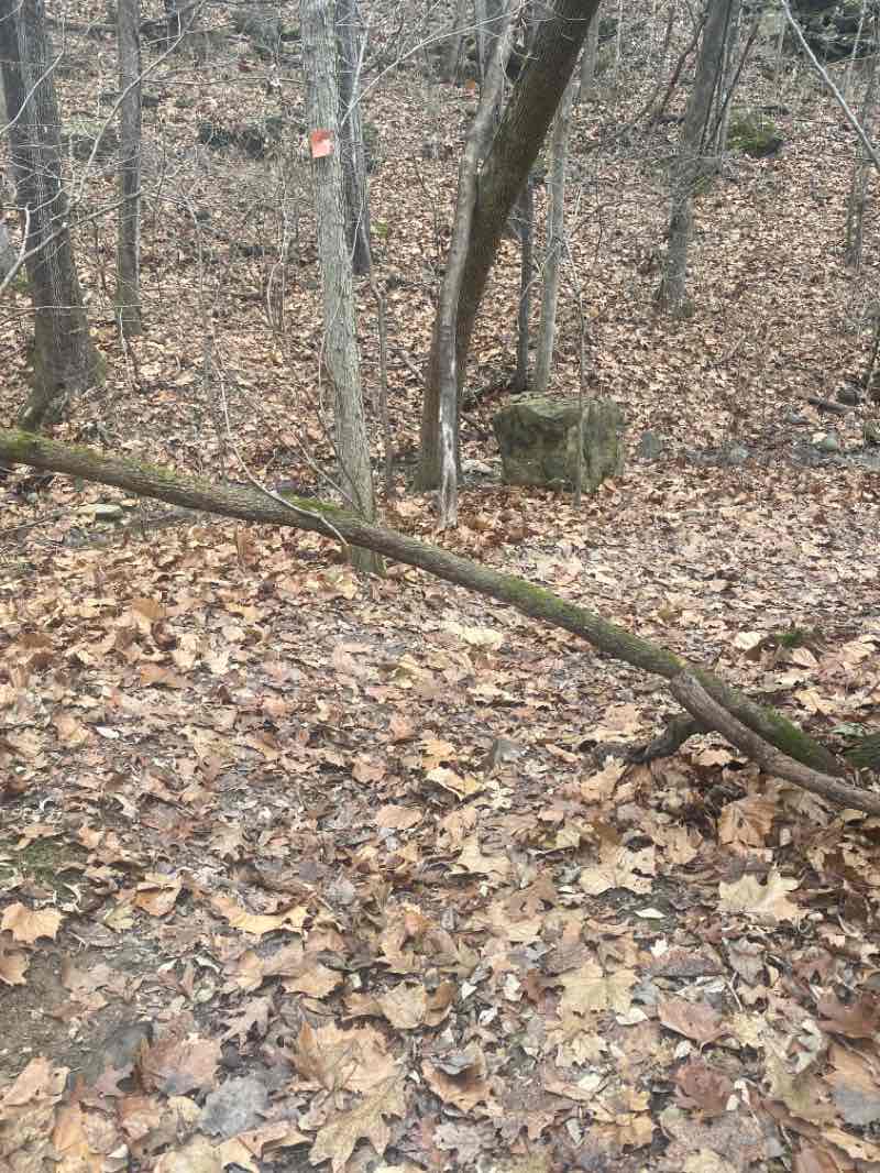 walking near me in Table Rock State Park in winter