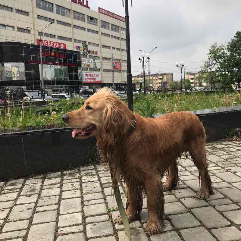 ХТЗОдесская Sendero Járkov, Óblast de Járkov, Ucrania Pacer