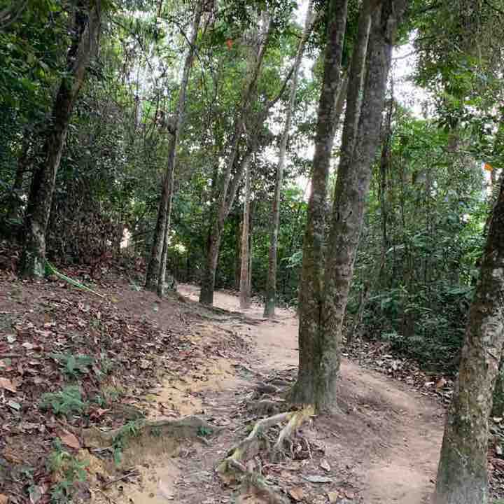 Apek Hill
