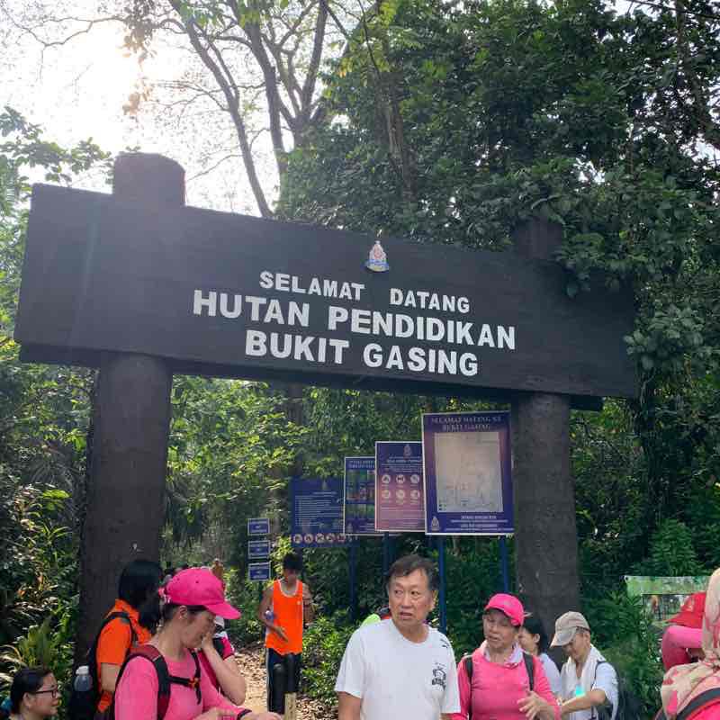 Bukit Gasing Park
