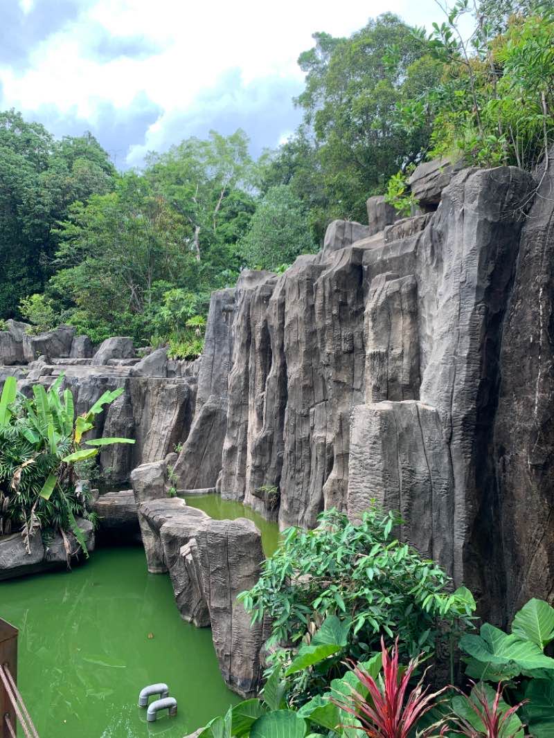 Malacca Botanical Park Walk Ayer Keroh Malaysia Pacer