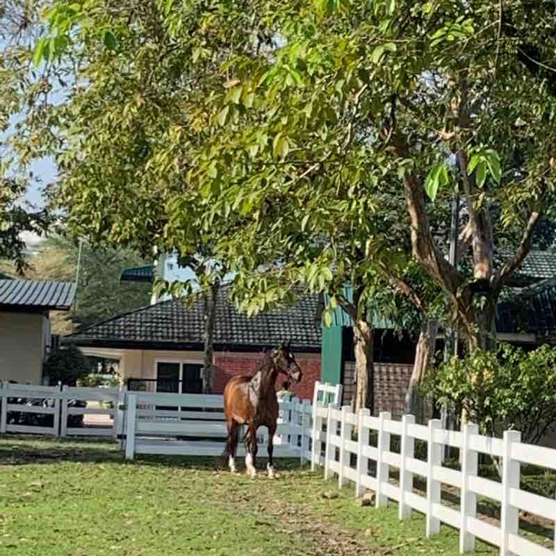 Titiwangsa Lake Garden