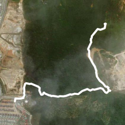 Shah Alam Community Forest Trails
