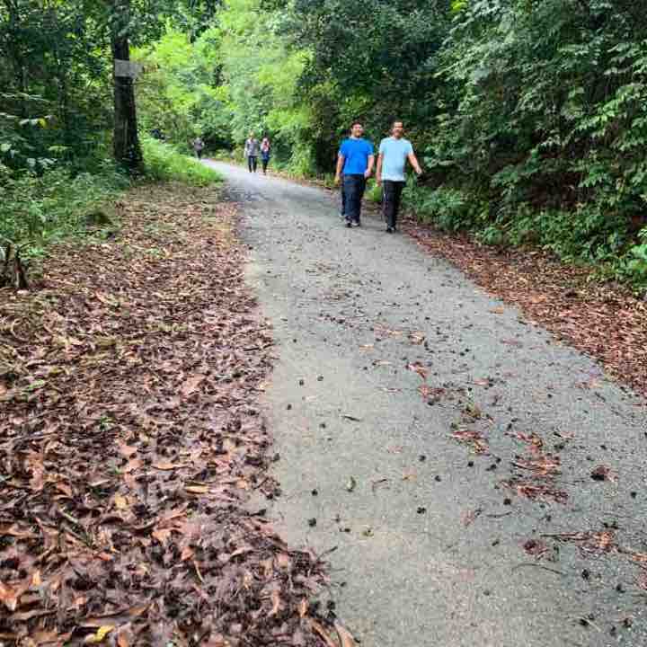 Wangsa Maju trail walk