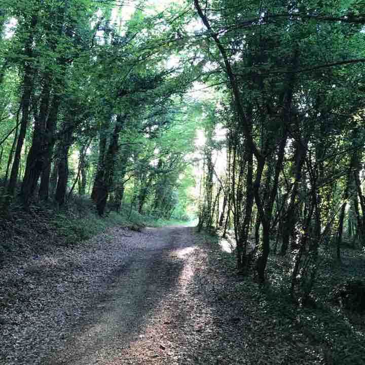 Selva Battaglia of Castelfidardo Ancona Italy walking route map in San Pellegrino