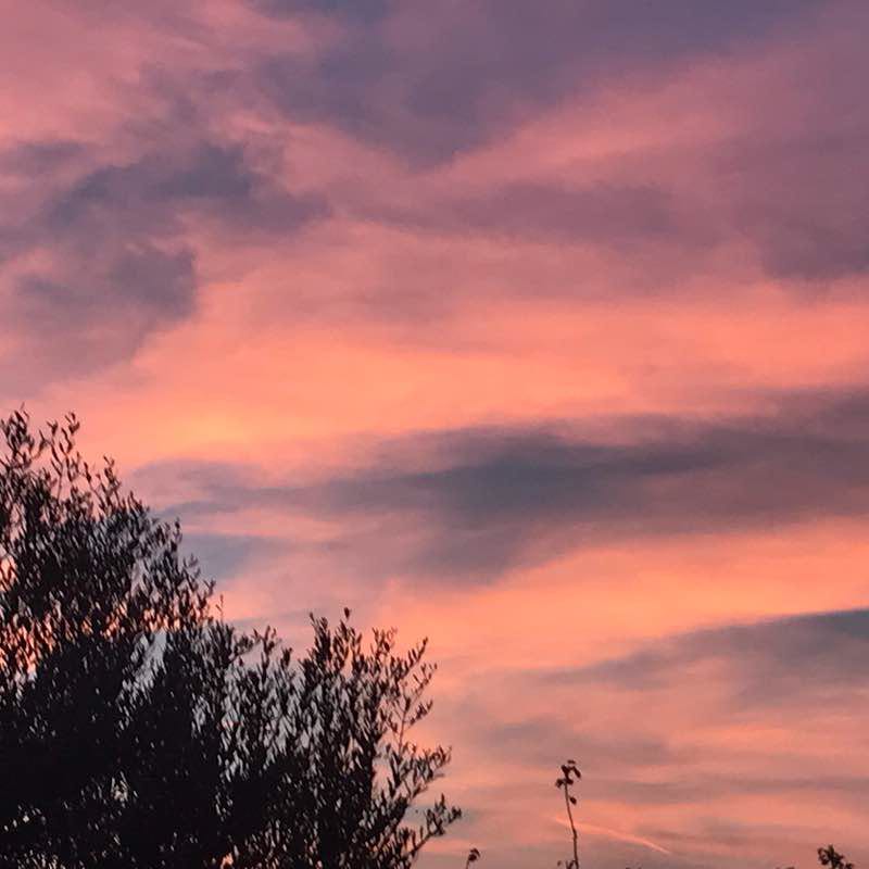 Selva Castelfidardo 60022 AN Italy walking route map in San Pellegrino