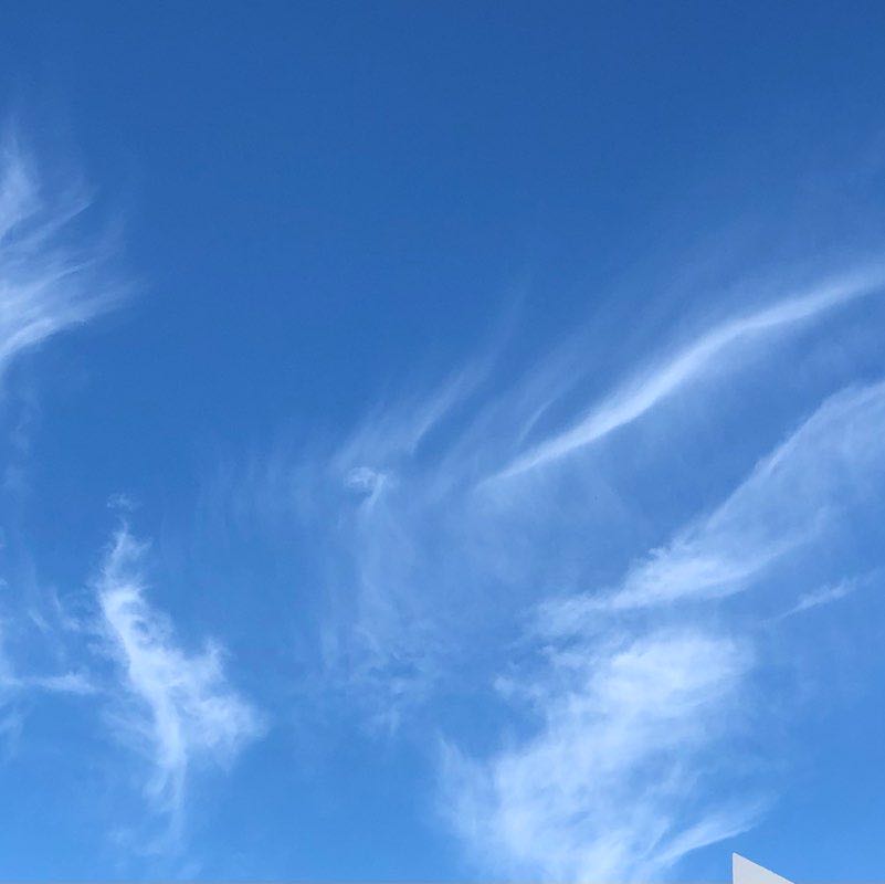 🎵Caminando Por La Vida🎵