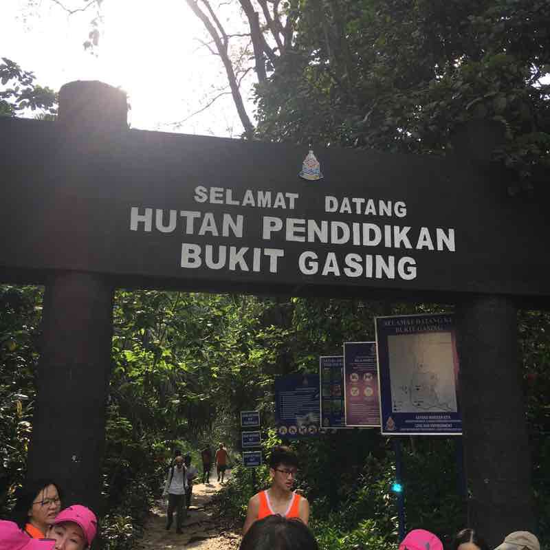 Bukit Gasing Forest 