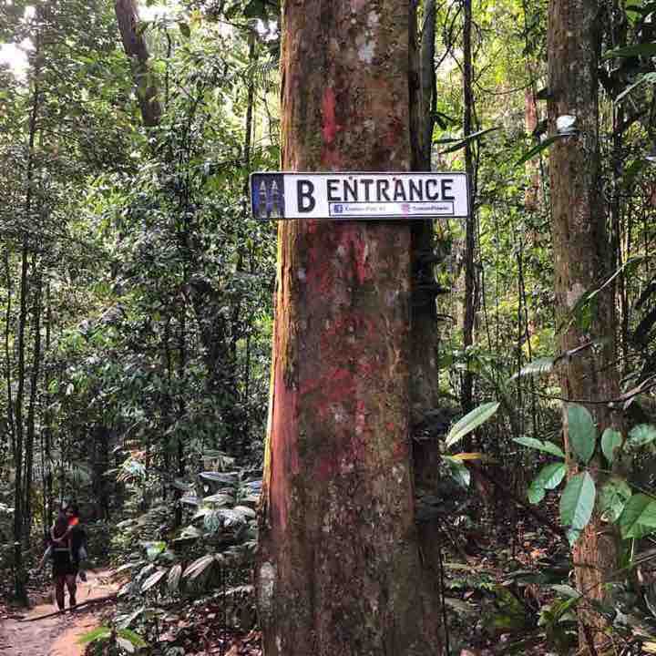 Ayer Hitam Forest Reserve 