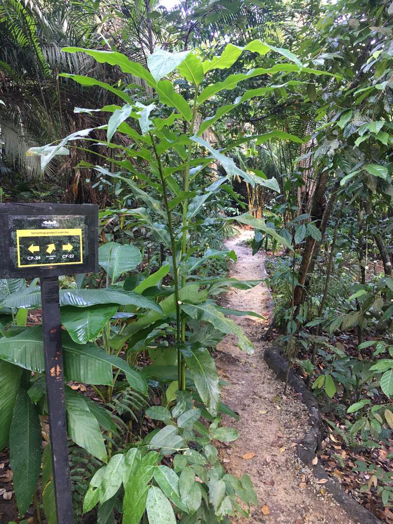 walking near me on 紀念碑公園步道 walking route