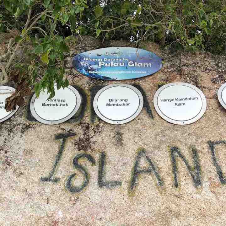 Coral Island 