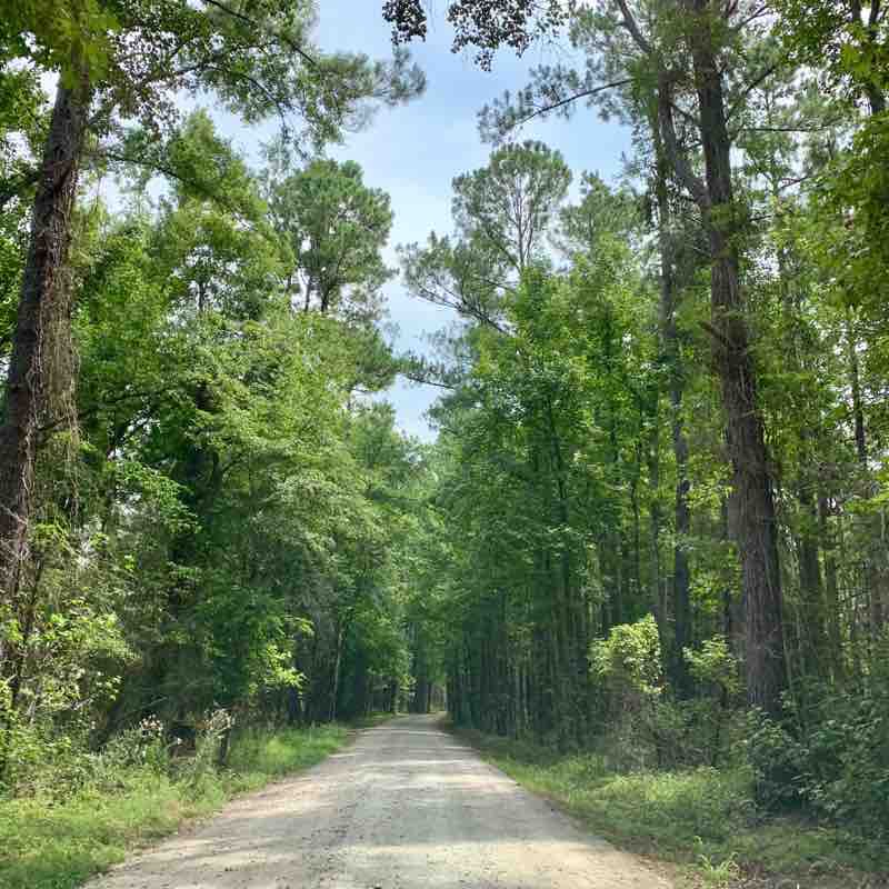 Audubon Center at Biedler Forest walking route map in Ridgeville