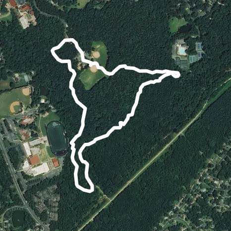 James Boyce Park Serendipity