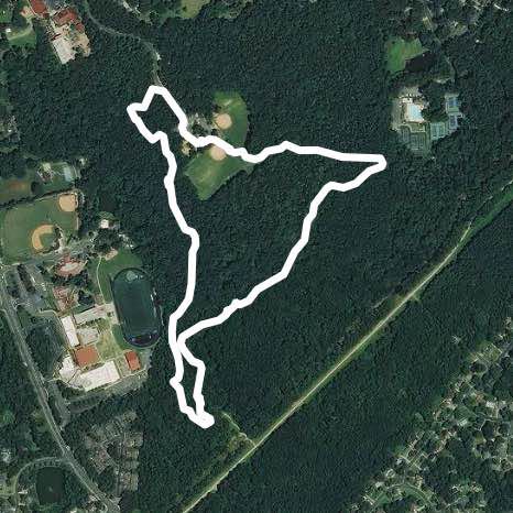 Boyce Road Park Forest Stroll