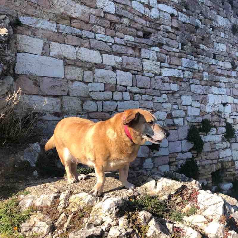 Sentierando verso la Rocca Maggiore