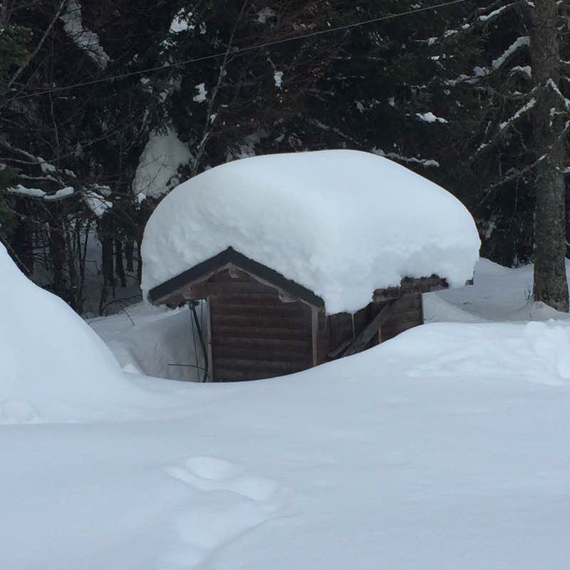 Channel walking route map in Cormontreuil
