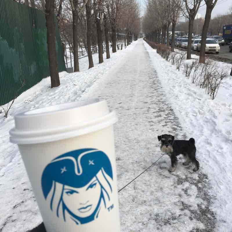 Пятничная прогулка с Максом
