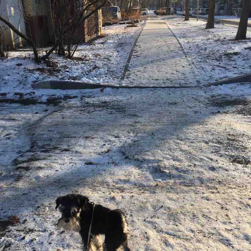 Прогулка 2 января