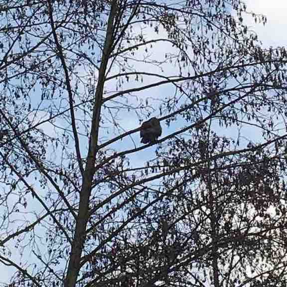 Port-Cergy walking route map in Éragny