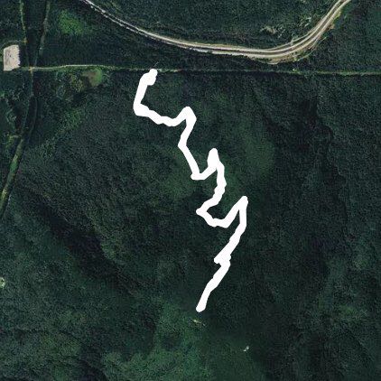 West Tiger 3